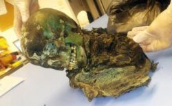 イタリアで発見された謎めいた緑色のミイラ、分析により謎を解明