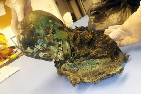 イタリアで発見された謎めいた緑色のミイラ、分析により謎を解明