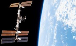 コケの胞子が宇宙空間で9カ月間も生存、北大などの研究チーム