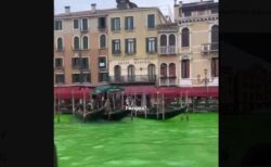 抗議活動でベネチアの水路が緑に染まる、グレタさんが市内への立ち入り禁止