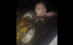 大蛇がツアーガイドを水に引き込み、締め付ける動画が怖い【動画】