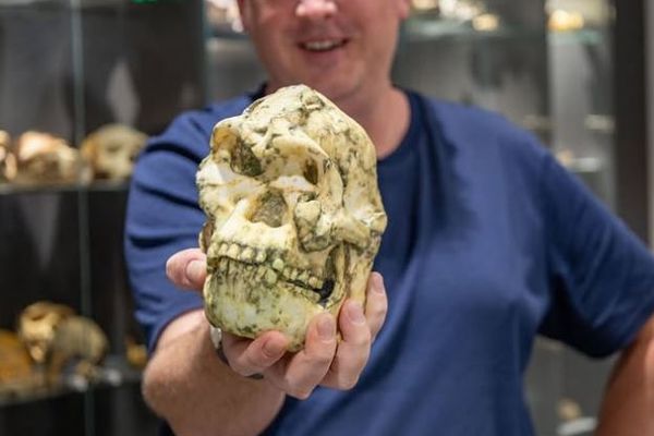 南アで発見されたヒト科の化石、新たな人類の祖先である可能性