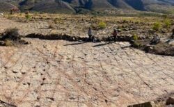 古生物学者がボリビアで、約1万8000点に及ぶ恐竜の足跡を発見