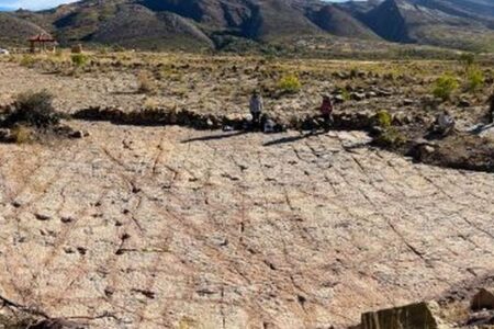 古生物学者がボリビアで、約1万8000点に及ぶ恐竜の足跡を発見