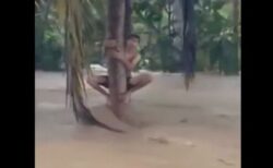 インドネシアの洪水で濁流の中、木にしがみついていた男性らを救助【動画】