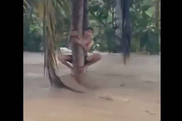 インドネシアの洪水で濁流の中、木にしがみついていた男性らを救助【動画】