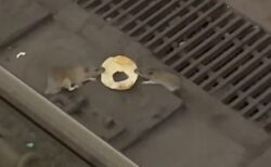 「このベーグルは俺のだ！」NYの地下鉄でネズミたちが引っ張り合う【動画】