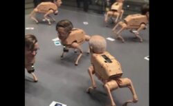 マスクやザッカーバーグの顔をした犬型ロボット、アーティストが制作