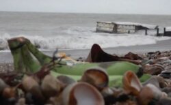 イギリスの海岸に大量のバナナ、16個のコンテナが船から落下