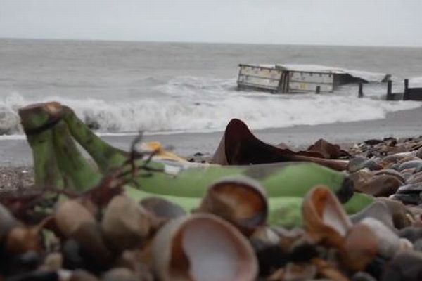 イギリスの海岸に大量のバナナ、16個のコンテナが船から落下