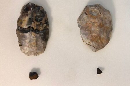 人類が約40万年前から火を起こしていた可能性、英の遺跡で痕跡を発見