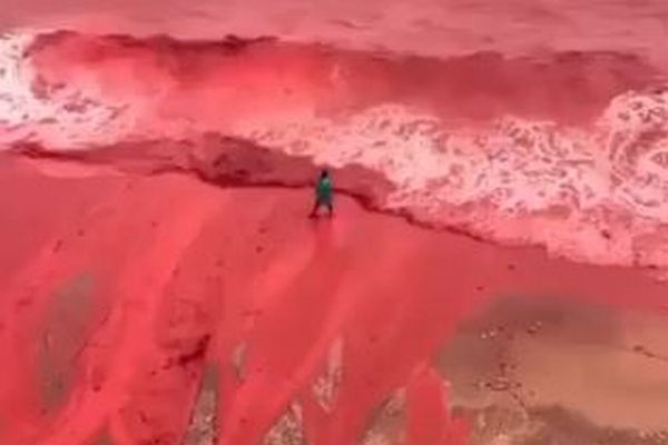 激しい雨の影響で、ペルシャ湾の海が血のように赤く染まる【動画】