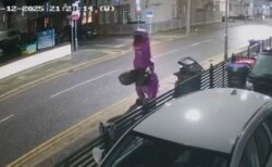 恐竜の衣装を着た人物が不法投棄、ゴミ収集に問題か？