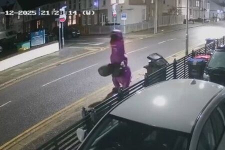 恐竜の衣装を着た人物が不法投棄、ゴミ収集に問題か?