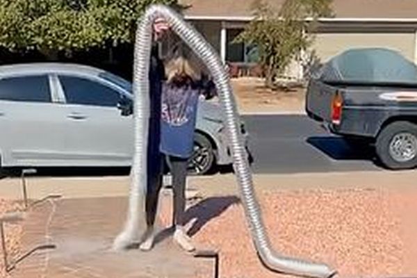 乾燥機の排気口から、意外な動物が飛び出てきた!【動画】