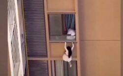 10階の窓からぶら下がる女性を発見、不倫相手の妻から命がけで逃げる愛人だった