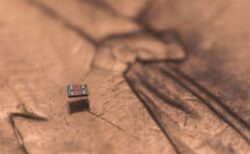 世界最小の自律型ロボットを開発、塩粒よりも小さなサイズ