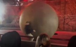 ディズニーワールドで巨大な球が観客席へ、スタッフが体を張って止める【動画】
