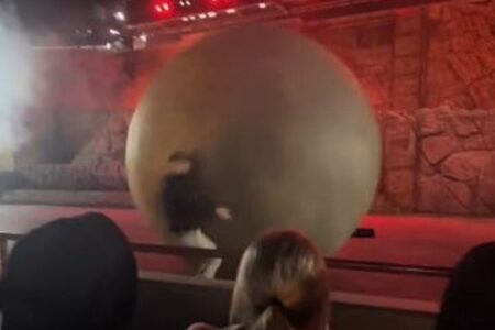 ディズニーワールドで巨大な球が観客席へ、スタッフが体を張って止める【動画】