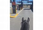 豪の女性、馬に乗ってマクドナルドのドライブスルーを利用【動画】
