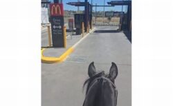 豪の女性、馬に乗ってマクドナルドのドライブスルーを利用【動画】