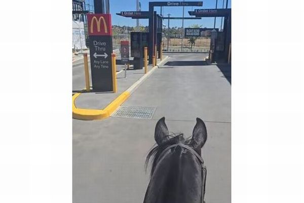 豪の女性、馬に乗ってマクドナルドのドライブスルーを利用【動画】