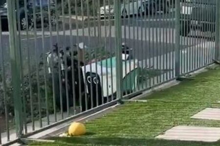 配達ロボットが歩道を通ろうとして、バイクを転倒させてしまう【動画】