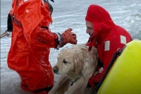 凍り付いた池に落ちたワンコ、消防隊員が極寒の中で救助