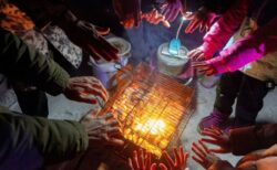 トランプ氏が、冬の寒さのためウクライナへの攻撃中止を要請、プーチン氏が同意か？