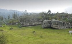 コロンブスが持ち込んだのではない？南米で5500年前の人骨から梅毒の菌を発見