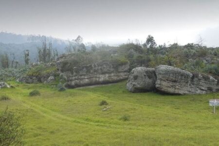 コロンブスが持ち込んだのではない？南米で5500年前の人骨から梅毒の菌を発見
