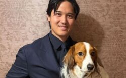 大谷選手の愛犬が、全米野球記者協会の最優秀犬賞を受賞