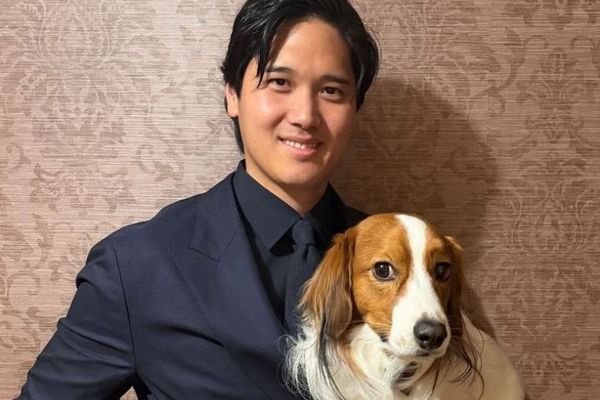 大谷選手の愛犬が、全米野球記者協会の最優秀犬賞を受賞