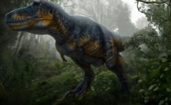 T.レックスが大人になるまで、40年かかっていた可能性