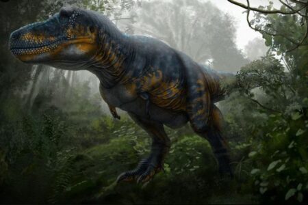 T.レックスが大人になるまで、40年かかっていた可能性