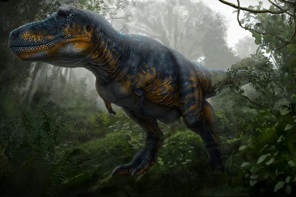 T.レックスが大人になるまで、40年かかっていた可能性