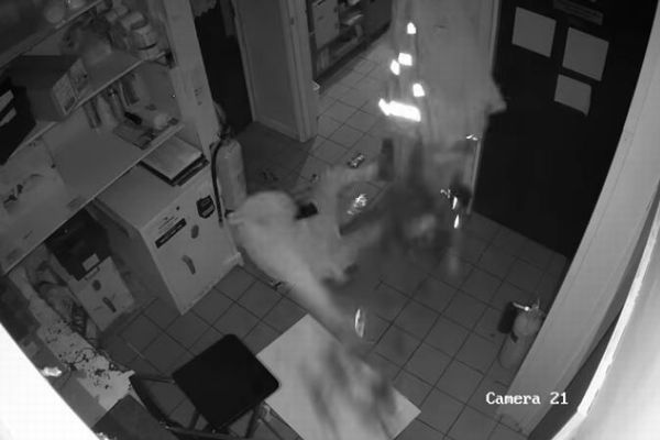 英の不器用な泥棒、天井から逃げようとするも4回も落下【動画】