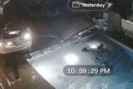 車が庭の壁を突き破り、運転手の女性がプールに投げ出される【動画】