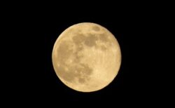 米スタートアップ企業が月面ホテルの宿泊予約受付を開始