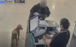 空港に犬を置きざりにして、旅客機に搭乗しようとした女を逮捕【動画】