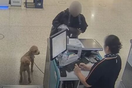 空港に犬を置きざりにして、旅客機に搭乗しようとした女を逮捕【動画】