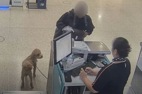 空港に犬を置きざりにして、旅客機に搭乗しようとした女を逮捕【動画】