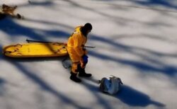 ニューヨーク州で、凍った池に張り付いてしまった白鳥を救助【動画】