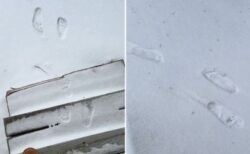 【動画】家の前に残された奇妙な足跡… 都市伝説“スキンウォーカー”との声も