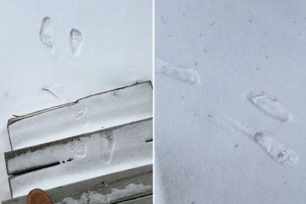 【動画】家の前に残された奇妙な足跡… 都市伝説“スキンウォーカー”との声も