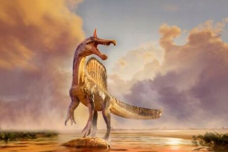 頭部に刃のような鶏冠をつけたスピノサウルス、アフリカで化石を発見