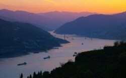 中国の揚子江、漁業禁止で、絶滅危惧種の個体数が回復