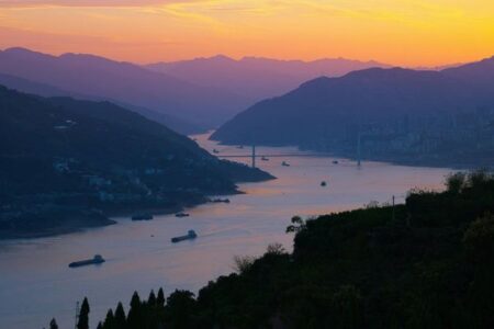 中国の揚子江、漁業禁止で、絶滅危惧種の個体数が回復