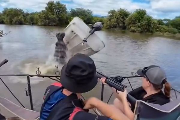 南アフリカでカバが突然、水中から現れ、ボートを転覆させる【動画】