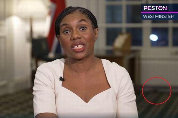 インタビュー中、英保守党・党首の執務室にネズミが出現【動画】